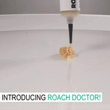 Cockroach Killing Gel