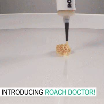 Cockroach Killing Gel